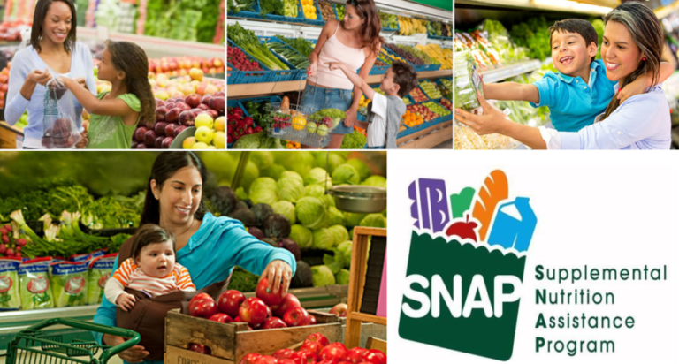 supplemental-nutrition-assistance-program-snap