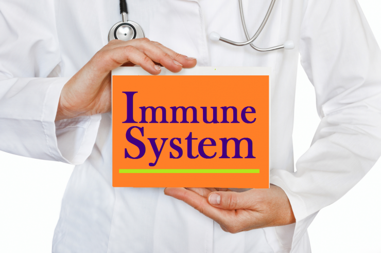 immune system