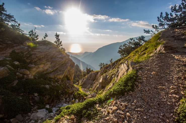 When More Women Make Decisions, The Environment Wins